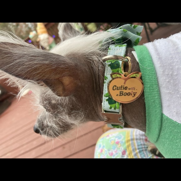 Introvert who likes to shop too much! - Picture 3 of 5